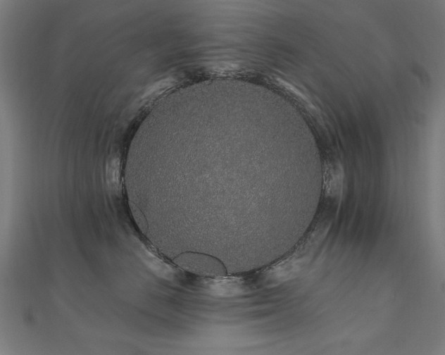 X0000112520670200908171356