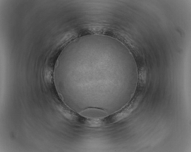 X0000112520671200908171356