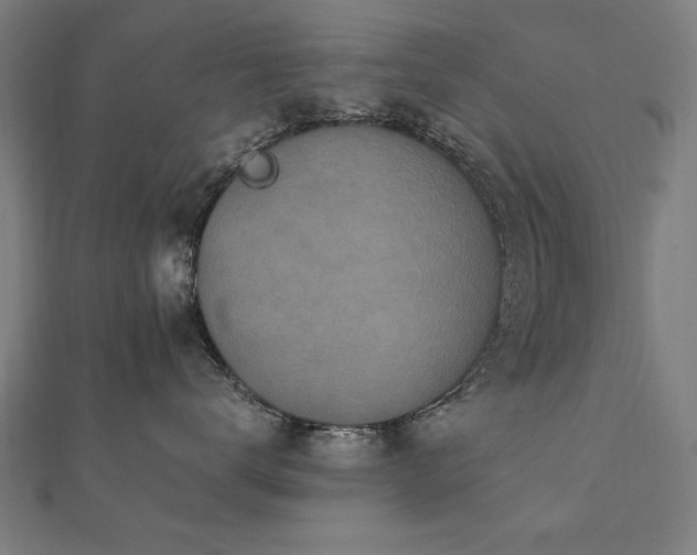 X0000112520672200908171356