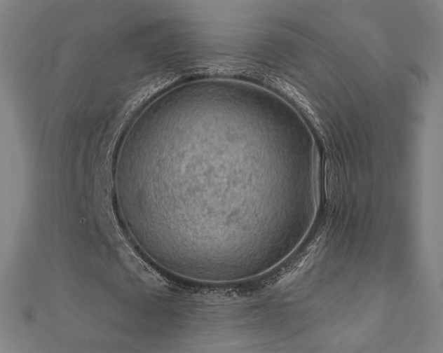 X0000112520673200908171355