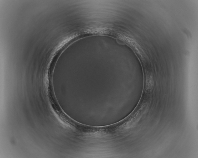X0000112520674200908171355