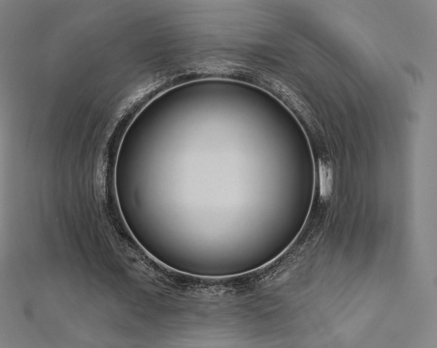 X0000112520675200908171355