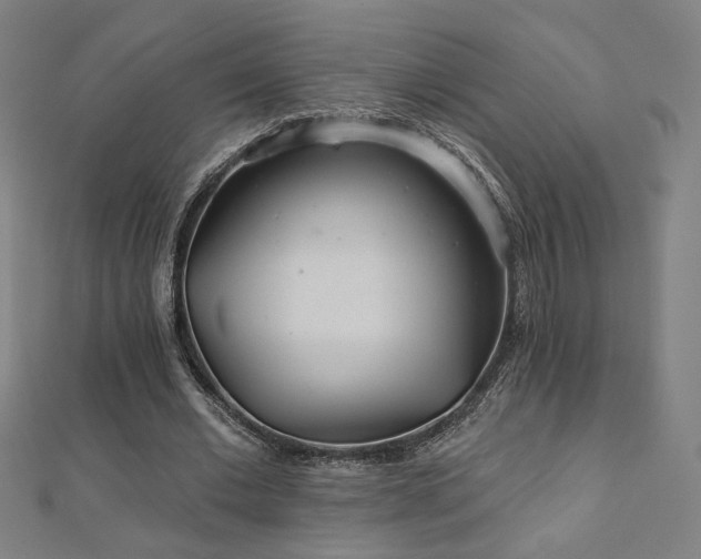 X0000112520677200908171355