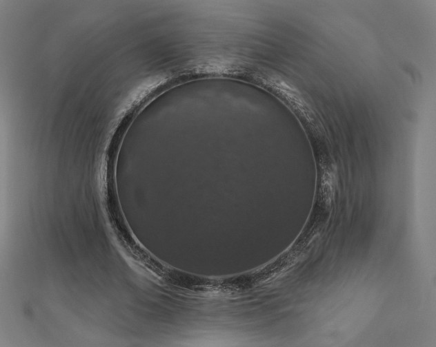 X0000112520678200908171355