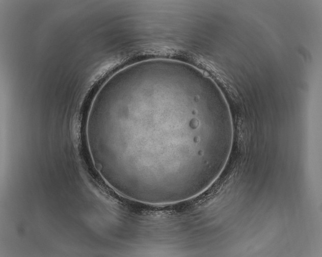 X0000112520679200908171355