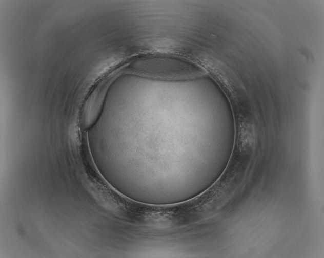 X0000112520680200908171355