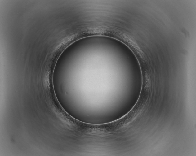 X0000112520681200908171355