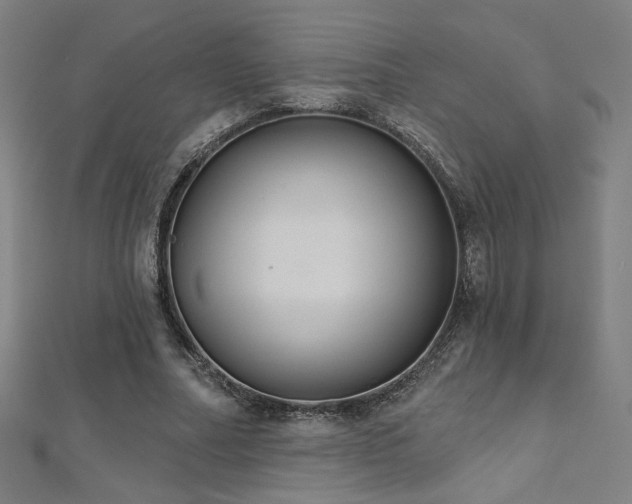 X0000112520682200908171355