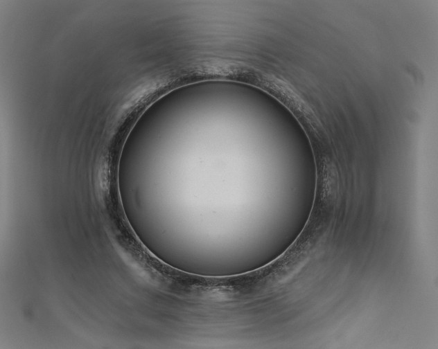 X0000112520683200908171355