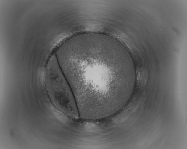 X0000112520684200908171355