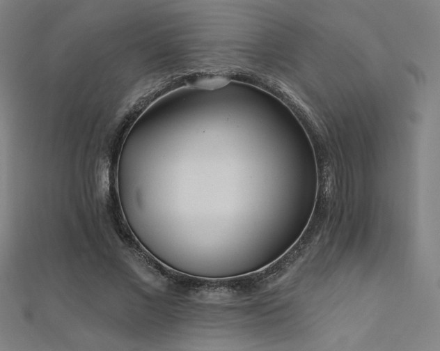 X0000112520685200908171355