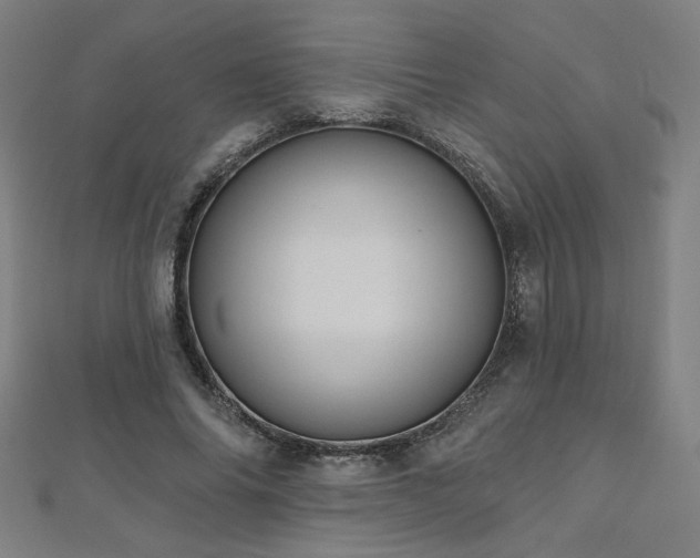 X0000112520686200908171355
