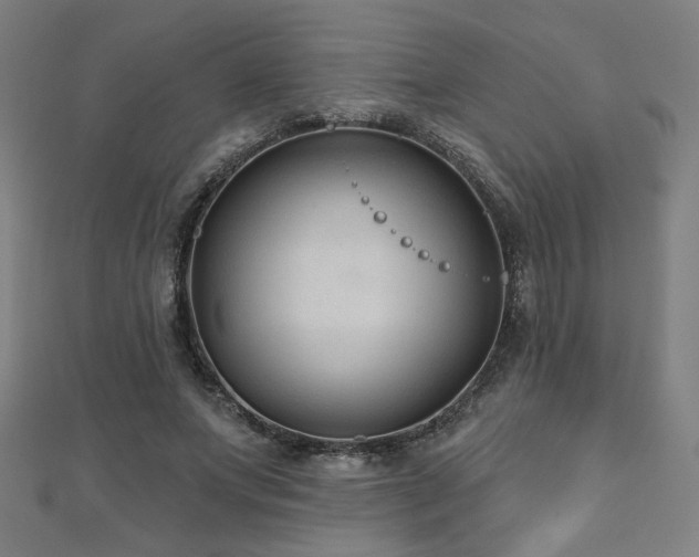 X0000112520687200908171355