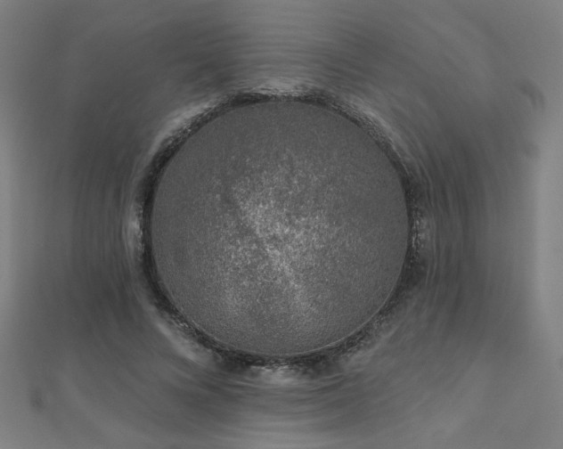 X0000112520688200908171355
