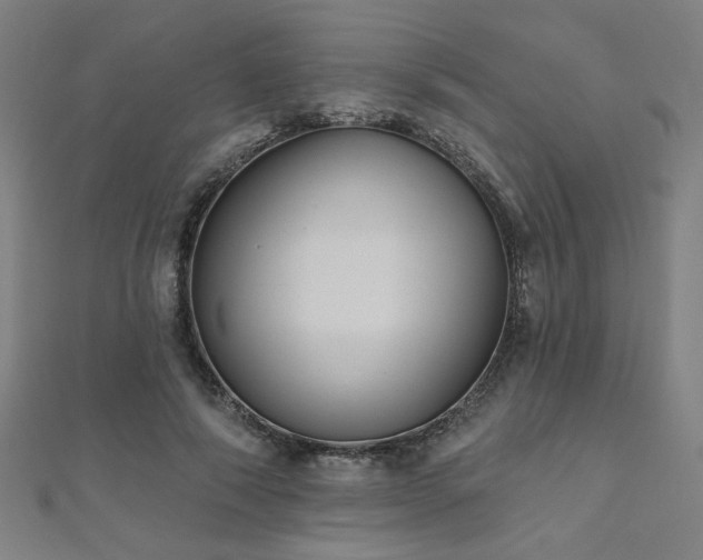 X0000112520690200908171355