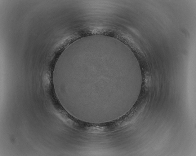 X0000112520691200908171355