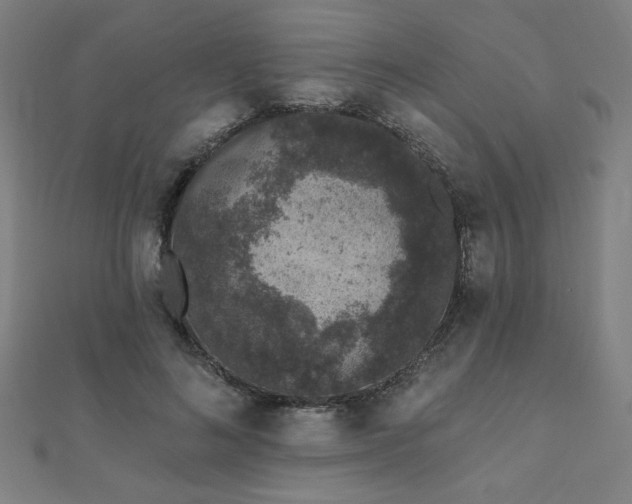 X0000112520692200908171355