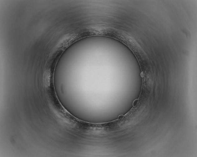 X0000112520694200908171355