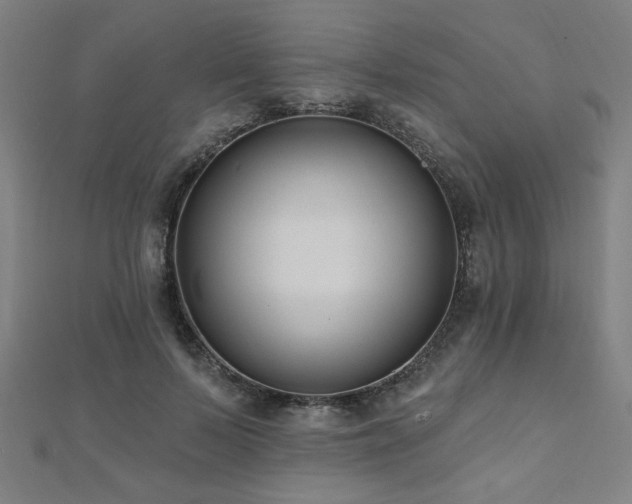 X0000112520695200908171355