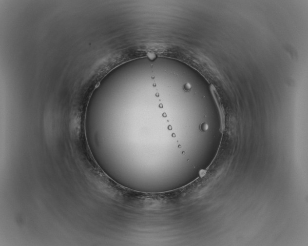 X0000112520697200908171355