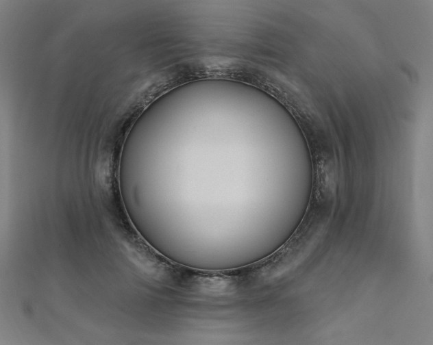 X0000112520698200908171355