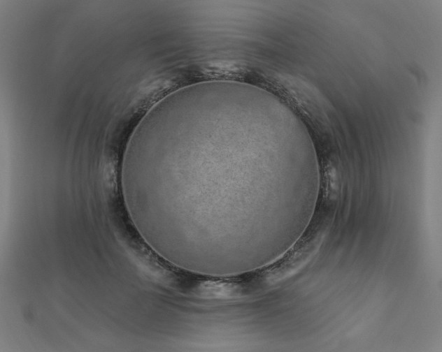 X0000112520699200908171355