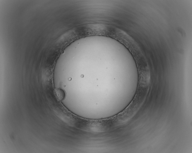 X0000112520701200908171355
