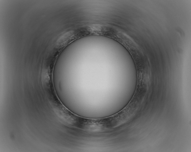 X0000112520702200908171355