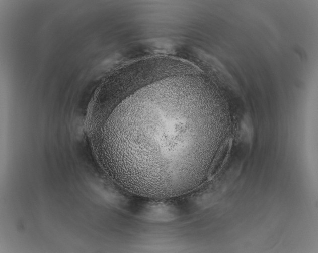 X0000112520704200908171355