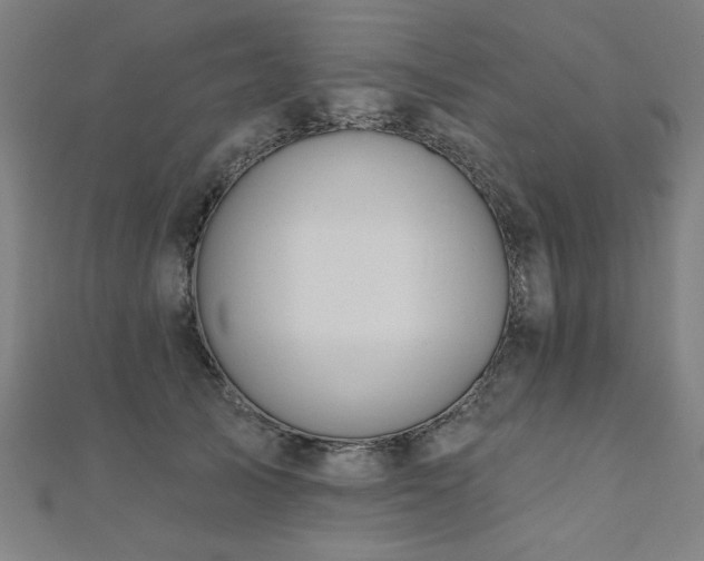 X0000112520705200908171354