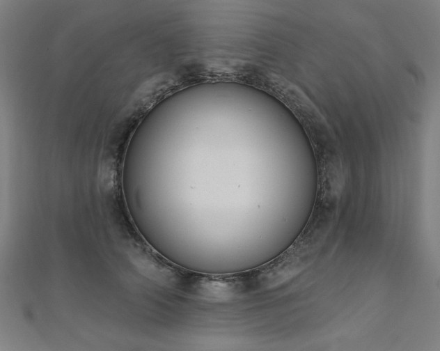 X0000112520706200908171354