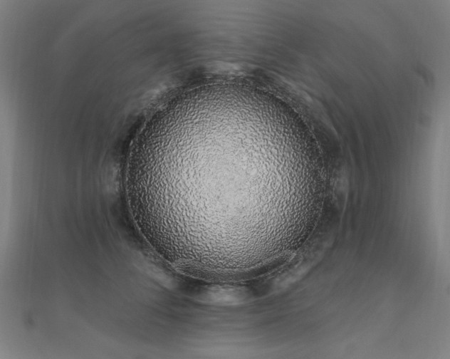 X0000112520708200908171354