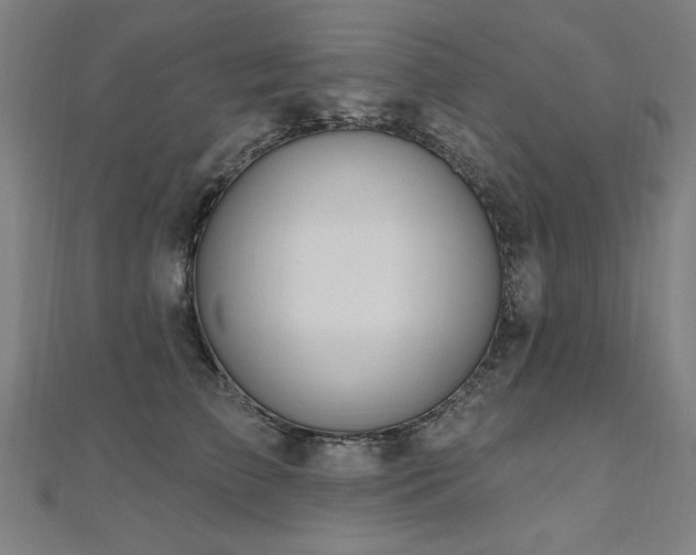X0000112520709200908171354