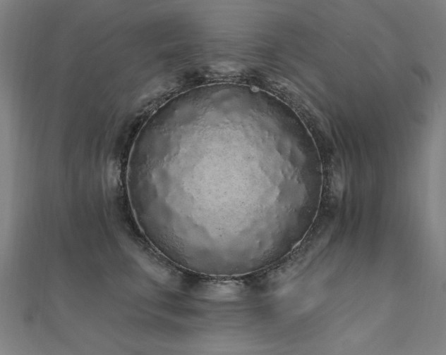 X0000112520711200908171354