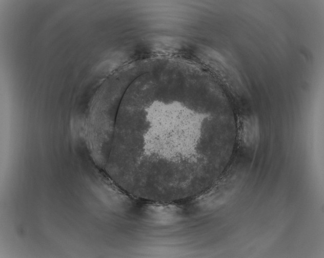 X0000112520712200908171354