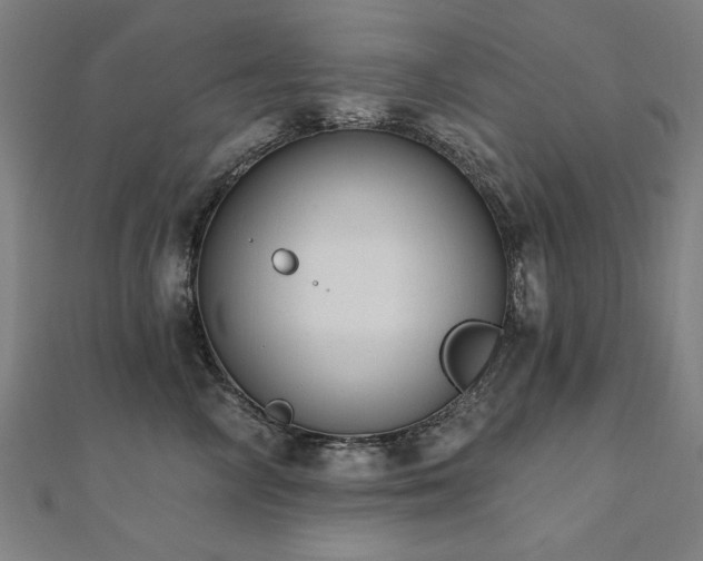 X0000112520714200908171354
