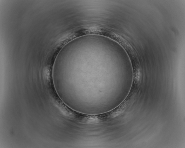 X0000112520715200908171354