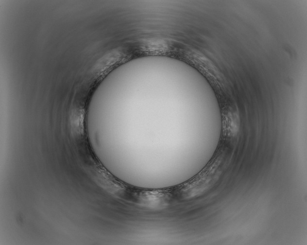 X0000112520717200908171354