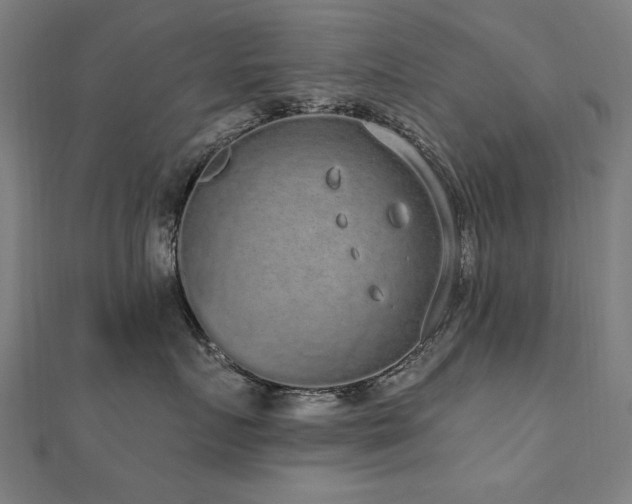 X0000112520719200908171354