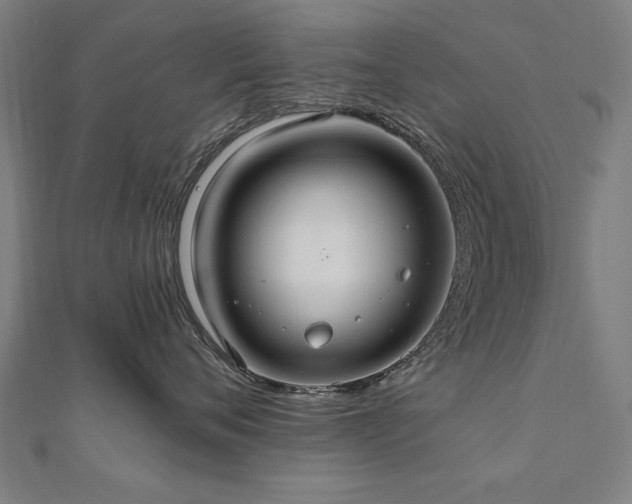 X0000112520720200908171354