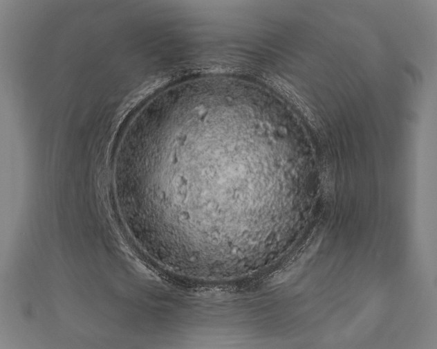 X0000112520721200908171354