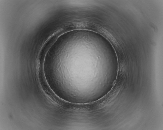 X0000112520722200908171354