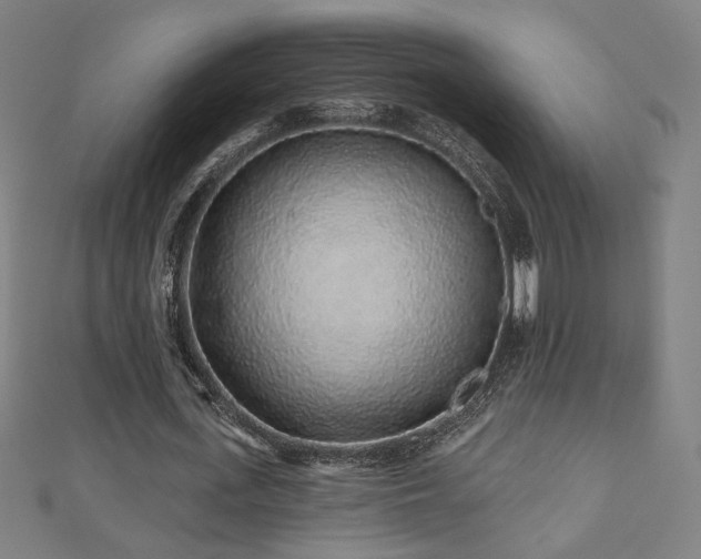 X0000112520723200908171354
