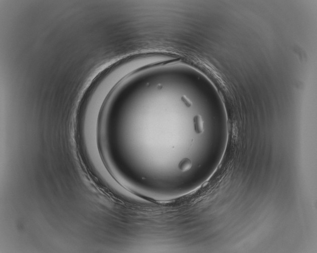 X0000112520724200908171354