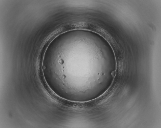 X0000112520725200908171354