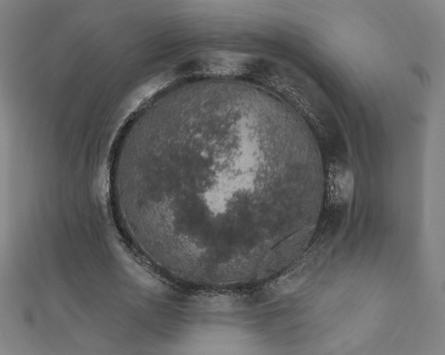 X0000112520726200908171354