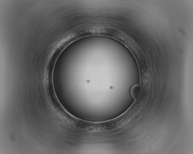 X0000112520727200908171354