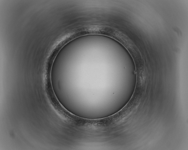 X0000112520728200908171354