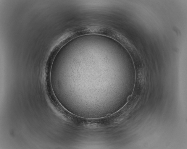 X0000112520730200908171354