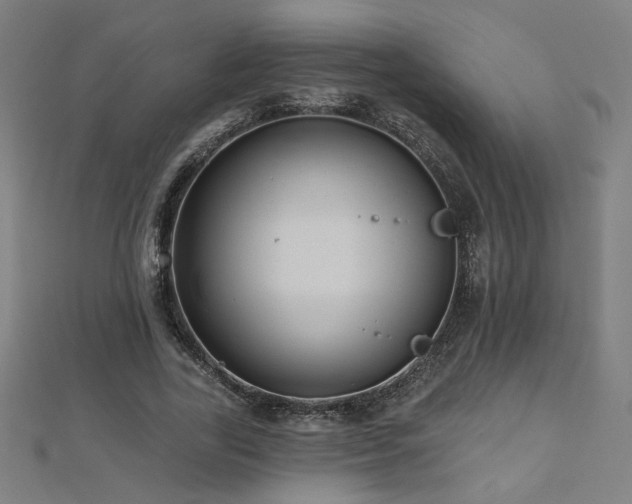X0000112520731200908171354